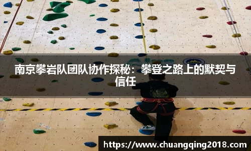 南京攀岩队团队协作探秘：攀登之路上的默契与信任
