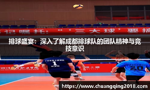 排球盛宴：深入了解成都排球队的团队精神与竞技意识