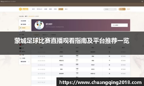 星欧娱乐下载官网